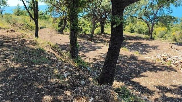 🌿 ПРОДАЁТСЯ ЗЕМЕЛЬНЫЙ УЧАСТОК В ДОБРОЙ ВОДЕ — фото 9 из 10
