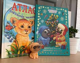 Две книги комплектом