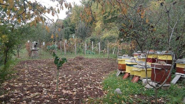 📍 €55.000 · Продажа: урбанизированный земельный участок с разрешением на строи — фото 4 из 10