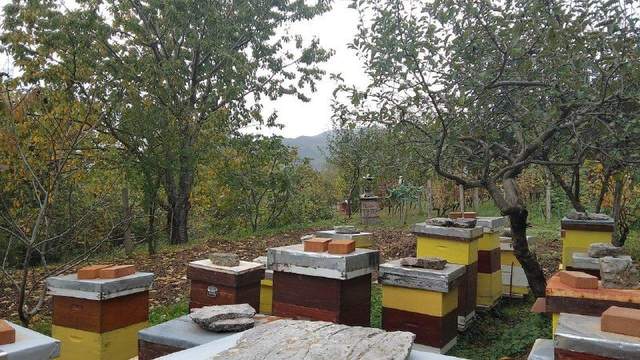 📍 €55.000 · Продажа: урбанизированный земельный участок с разрешением на строи — фото 6 из 10