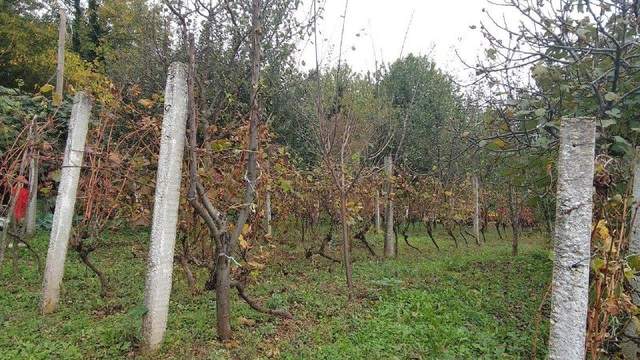 📍 €55.000 · Продажа: урбанизированный земельный участок с разрешением на строи — фото 8 из 10