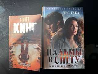Книги в идеальном состоянии, С. Кинг «Чужак» и Лус Габас «Пальмы в снегу», каж