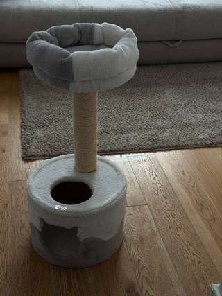 когтеточка для кота
