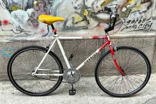 Single Speed Chariot Mountain 12