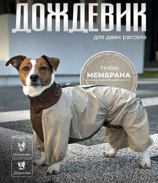 Дождевик LION PETS для джек-рассела, мальчика