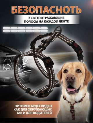 Анатомическая шлейка для собак Miamorpets, размер M