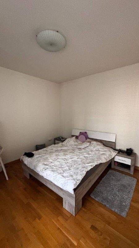 С 01.10 сдается pet friendly квартира в BW PARKVIEW — фото 2 из 2