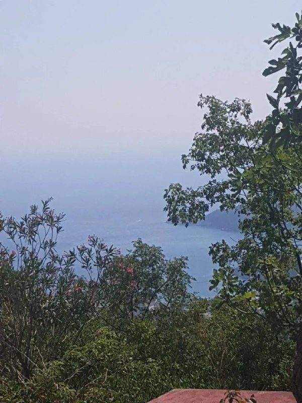Продается уютный дом с зеленым участком и панорамным видом на море в Будве за — фото 10 из 10