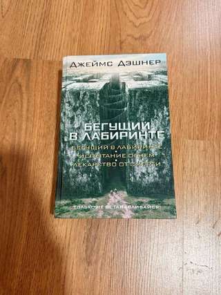 книга БЕГУЩИЙ В ЛАБИРИНТЕ