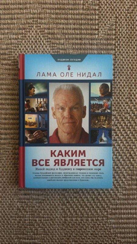 ПРОДАМ · ✅ Графические новеллы, Элли Брош: дурацие истории, провальные методы — фото 5 из 7