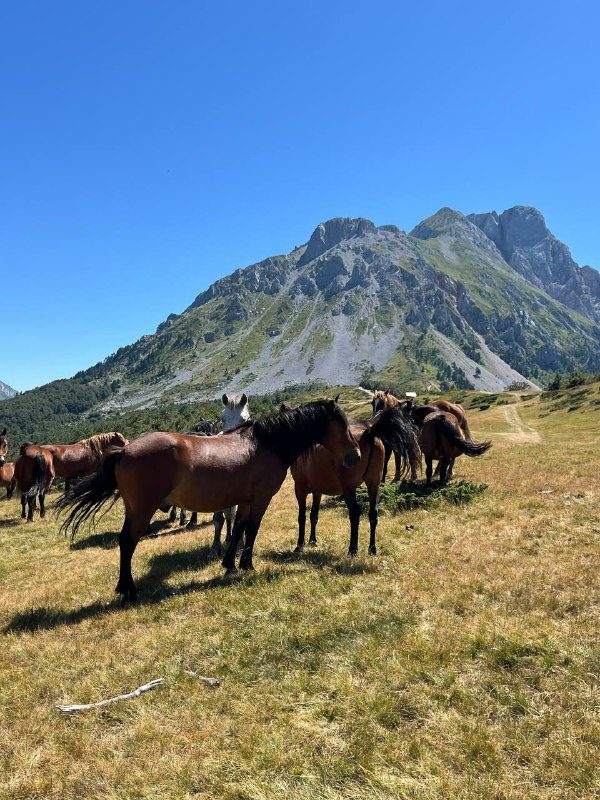 Приглашаем на экскурсию — фото 9 из 10