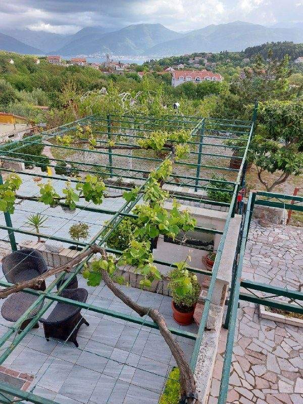 РАДОВИЧИ. СДАЕТСЯ КВАРТИРА — фото 8 из 10